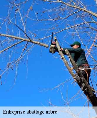 Entreprise abattage arbre  saint-clement-de-vers-69790 Balland élagueur paysagiste
