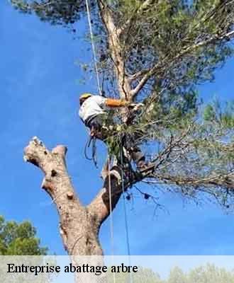 Entreprise abattage arbre  saint-julien-sur-bibost-69690 Balland élagueur paysagiste