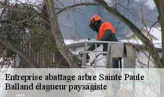 Entreprise abattage arbre  sainte-paule-69620 Balland élagueur paysagiste