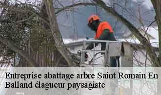 Entreprise abattage arbre  saint-romain-en-gal-69560 Balland élagueur paysagiste