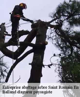 Entreprise abattage arbre  saint-romain-en-gal-69560 Balland élagueur paysagiste