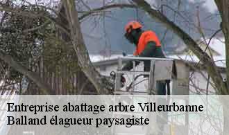 Entreprise abattage arbre  villeurbanne-69100 Balland élagueur paysagiste
