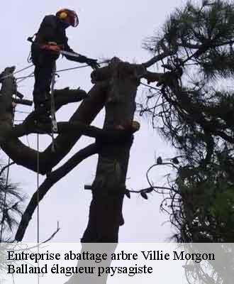 Entreprise abattage arbre  villie-morgon-69910 Balland élagueur paysagiste