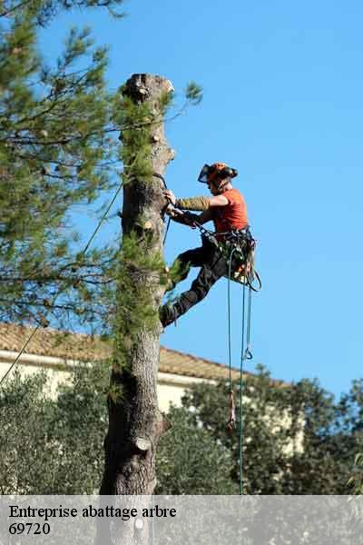 Entreprise abattage arbre  saint-laurent-de-mure-69720 Balland élagueur paysagiste