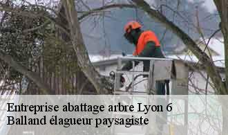 Entreprise abattage arbre  lyon-6-69006 Balland élagueur paysagiste