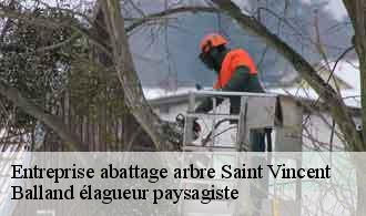Entreprise abattage arbre  saint-vincent-69440 Balland élagueur paysagiste