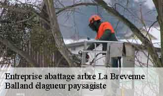Entreprise abattage arbre  la-brevenne-69690 Balland élagueur paysagiste