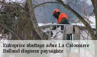 Entreprise abattage arbre la-calonniere-69690 Balland élagueur paysagiste