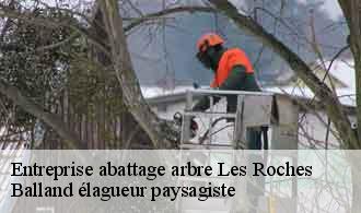 Entreprise abattage arbre  les-roches-69690 Balland élagueur paysagiste
