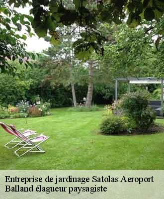 Entreprise de jardinage  satolas-aeroport-69125 Balland élagueur paysagiste