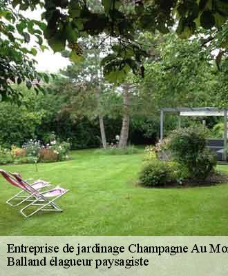 Entreprise de jardinage  champagne-au-mont-d-or-69410 Balland élagueur paysagiste