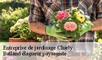 Entreprise de jardinage  charly-69390 Balland élagueur paysagiste