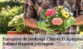 Entreprise de jardinage chazay-d-azergues-69380 Balland élagueur paysagiste