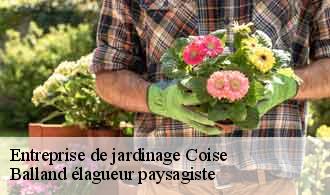 Entreprise de jardinage  coise-69590 Balland élagueur paysagiste