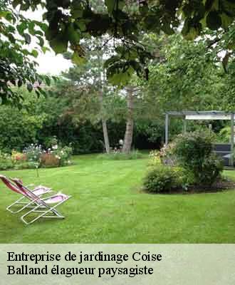 Entreprise de jardinage  coise-69590 Balland élagueur paysagiste