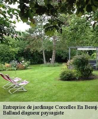 Entreprise de jardinage  corcelles-en-beaujolais-69220 Balland élagueur paysagiste