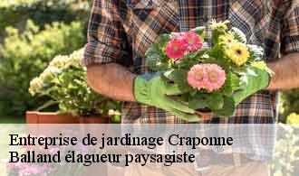 Entreprise de jardinage  craponne-69290 Balland élagueur paysagiste
