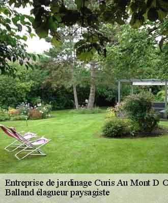 Entreprise de jardinage  curis-au-mont-d-or-69250 Balland élagueur paysagiste