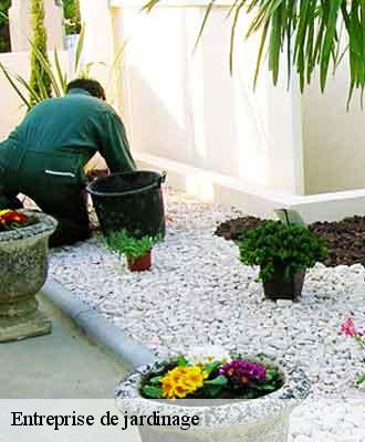 Entreprise de jardinage  mornant-69440 Balland élagueur paysagiste