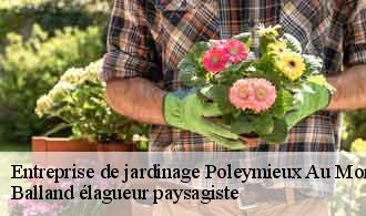 Entreprise de jardinage  poleymieux-au-mont-d-or-69250 Balland élagueur paysagiste
