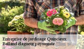 Entreprise de jardinage  quincieux-69650 Balland élagueur paysagiste