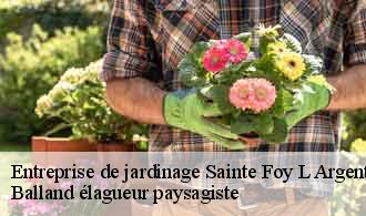 Entreprise de jardinage  sainte-foy-l-argentiere-69610 Balland élagueur paysagiste