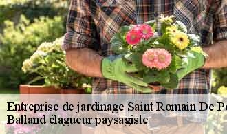Entreprise de jardinage  saint-romain-de-popey-69490 Balland élagueur paysagiste