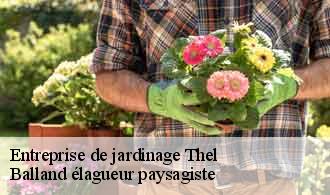 Entreprise de jardinage  thel-69470 Balland élagueur paysagiste