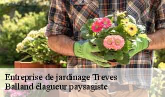 Entreprise de jardinage  treves-69420 Balland élagueur paysagiste