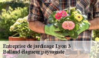 Entreprise de jardinage  lyon-3-69003 Balland élagueur paysagiste
