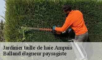 Jardinier taille de haie  ampuis-69420 Balland élagueur paysagiste