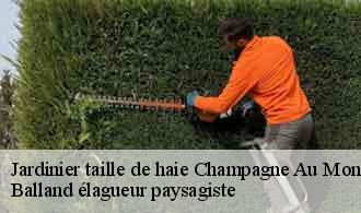Jardinier taille de haie  champagne-au-mont-d-or-69410 Balland élagueur paysagiste