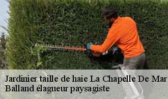 Jardinier taille de haie la-chapelle-de-mardore-69240 Balland élagueur paysagiste