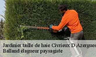 Jardinier taille de haie  civrieux-d-azergues-69380 Balland élagueur paysagiste