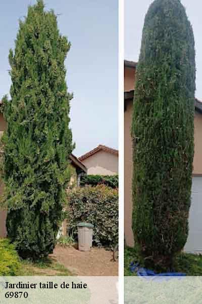 Jardinier taille de haie  claveisolles-69870 Balland élagueur paysagiste