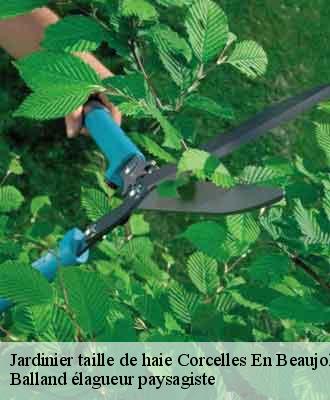 Jardinier taille de haie  corcelles-en-beaujolais-69220 Balland élagueur paysagiste
