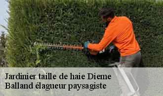 Jardinier taille de haie  dieme-69170 Balland élagueur paysagiste