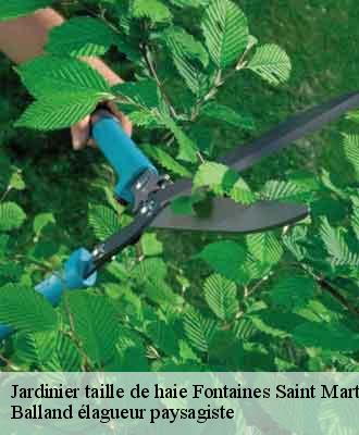 Jardinier taille de haie  fontaines-saint-martin-69270 Balland élagueur paysagiste
