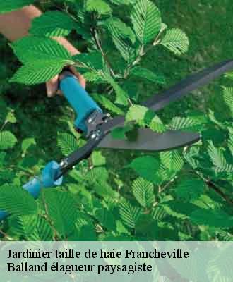 Jardinier taille de haie  francheville-69340 Balland élagueur paysagiste