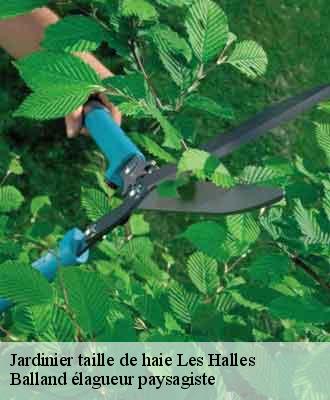 Jardinier taille de haie  les-halles-69610 Balland élagueur paysagiste