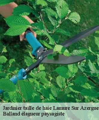 Jardinier taille de haie  lamure-sur-azergues-69870 Balland élagueur paysagiste