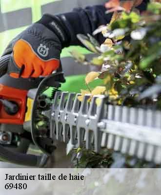 Jardinier taille de haie morance-69480 Balland élagueur paysagiste