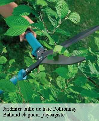 Jardinier taille de haie  pollionnay-69290 Balland élagueur paysagiste