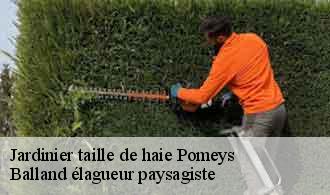 Jardinier taille de haie  pomeys-69590 Balland élagueur paysagiste