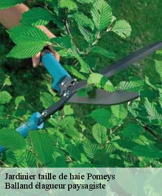 Jardinier taille de haie  pomeys-69590 Balland élagueur paysagiste