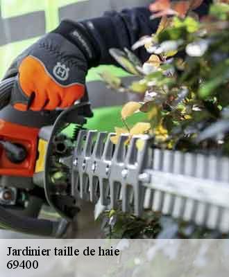 Jardinier taille de haie  pouilly-le-monial-69400 Balland élagueur paysagiste