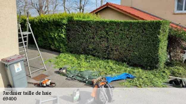 Jardinier taille de haie  pouilly-le-monial-69400 Balland élagueur paysagiste