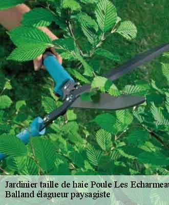 Jardinier taille de haie  poule-les-echarmeaux-69870 Balland élagueur paysagiste