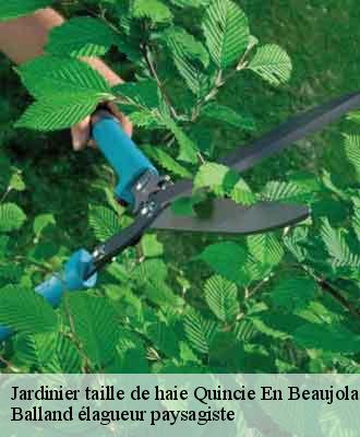 Jardinier taille de haie  quincie-en-beaujolais-69430 Balland élagueur paysagiste