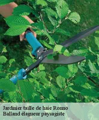 Jardinier taille de haie  ronno-69550 Balland élagueur paysagiste